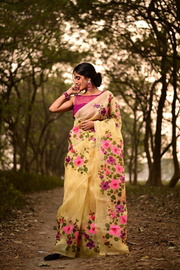 Designer Saree collection