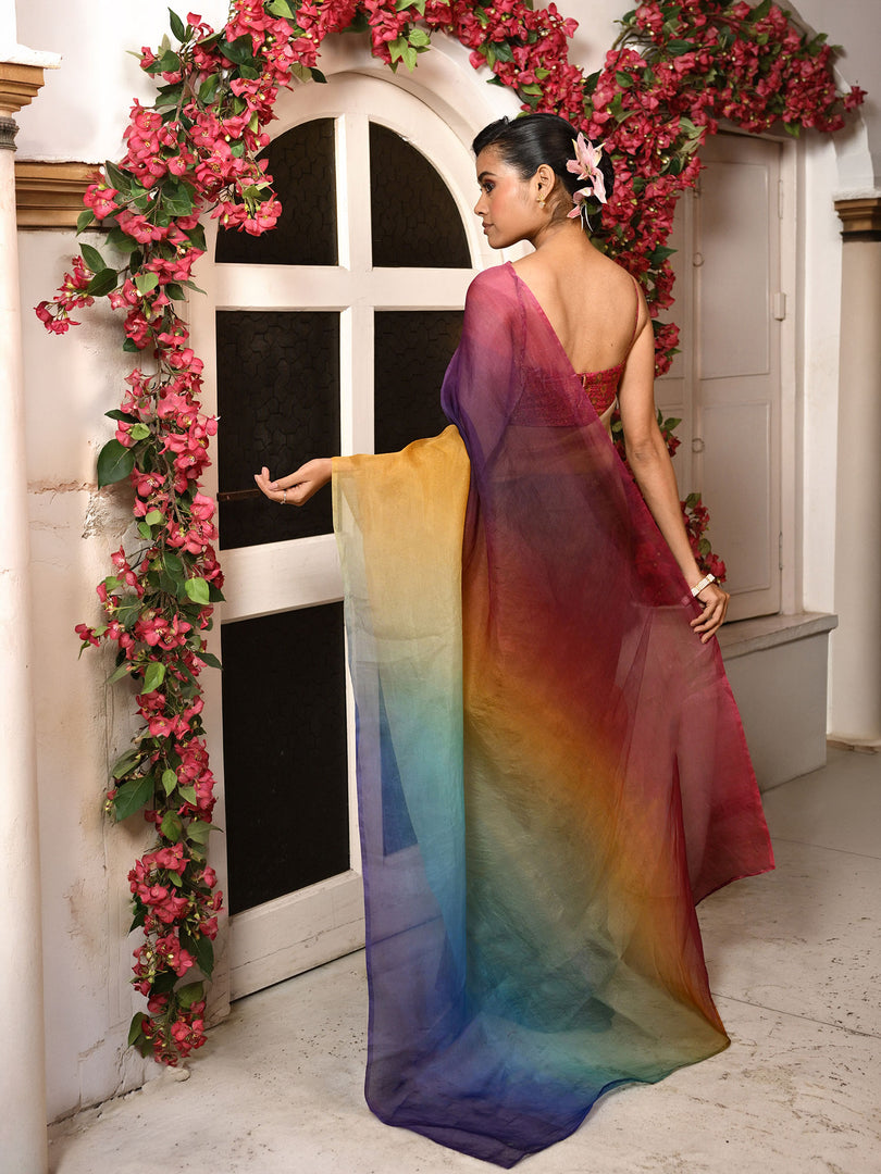 Prismatic 2 - ombre organza saree